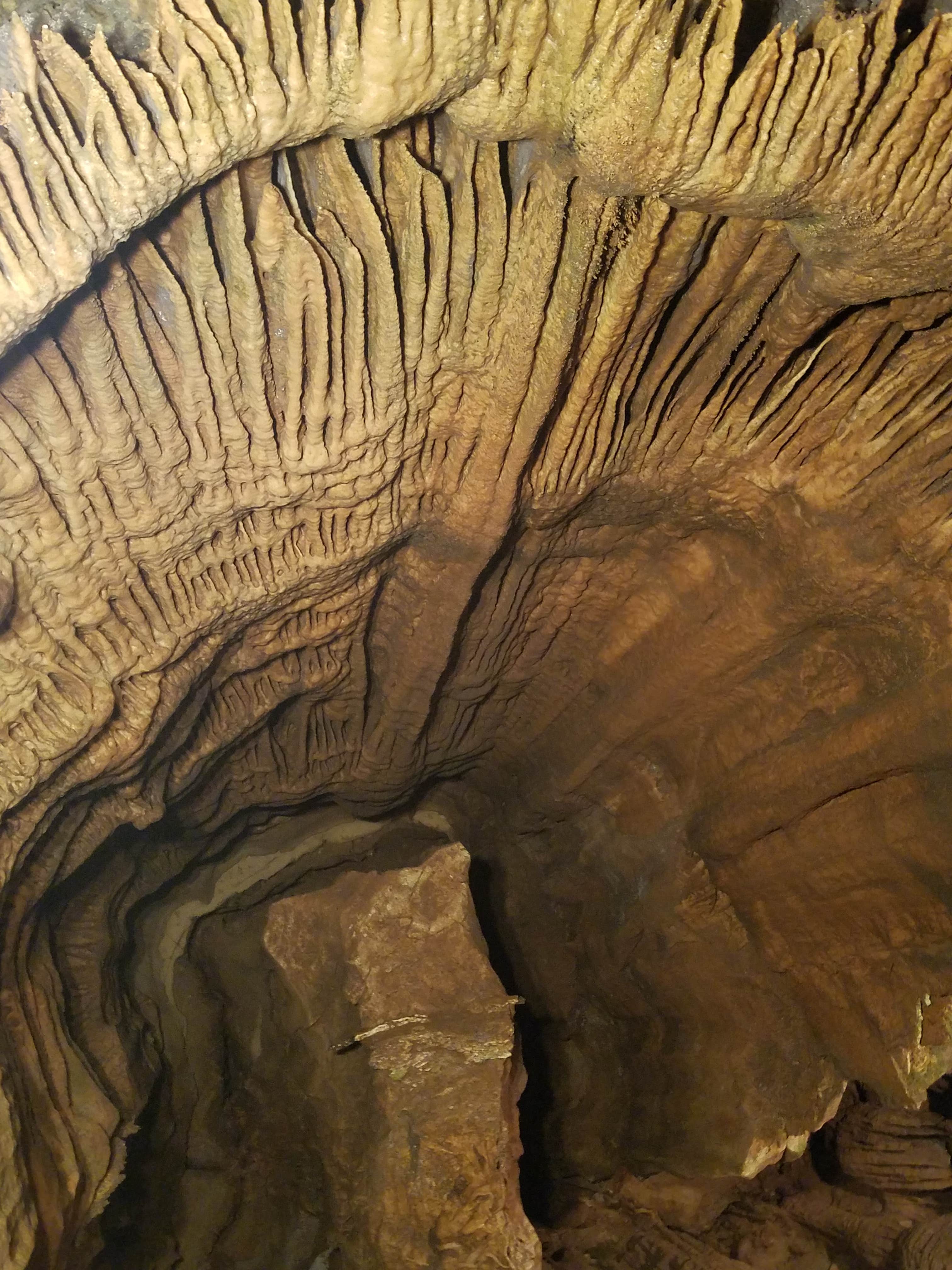 Camper-submitted photo at Rock Cabin Camping near Horse Cave, KY