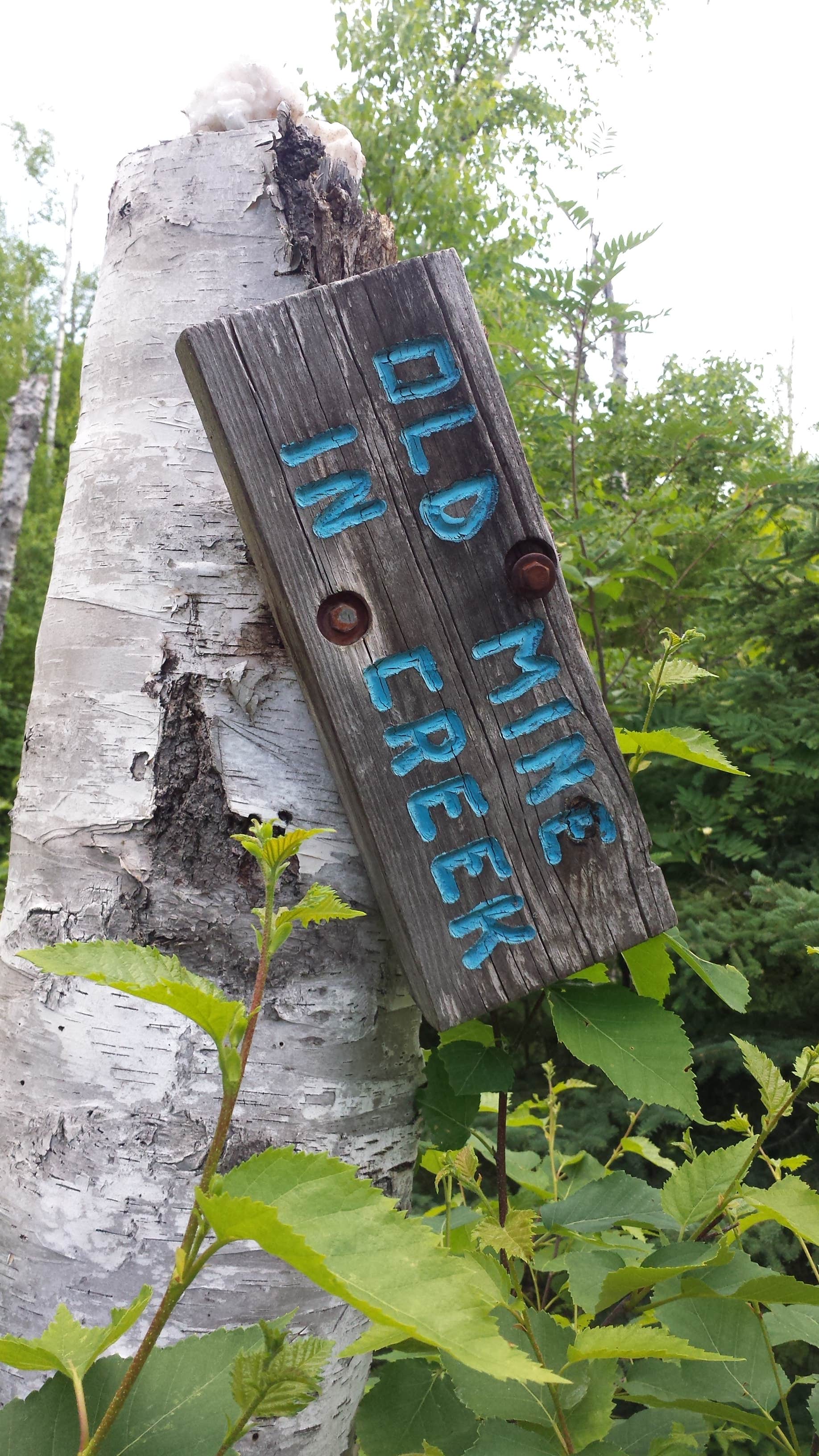 Camper submitted image from Crystal Creek Camp - 4