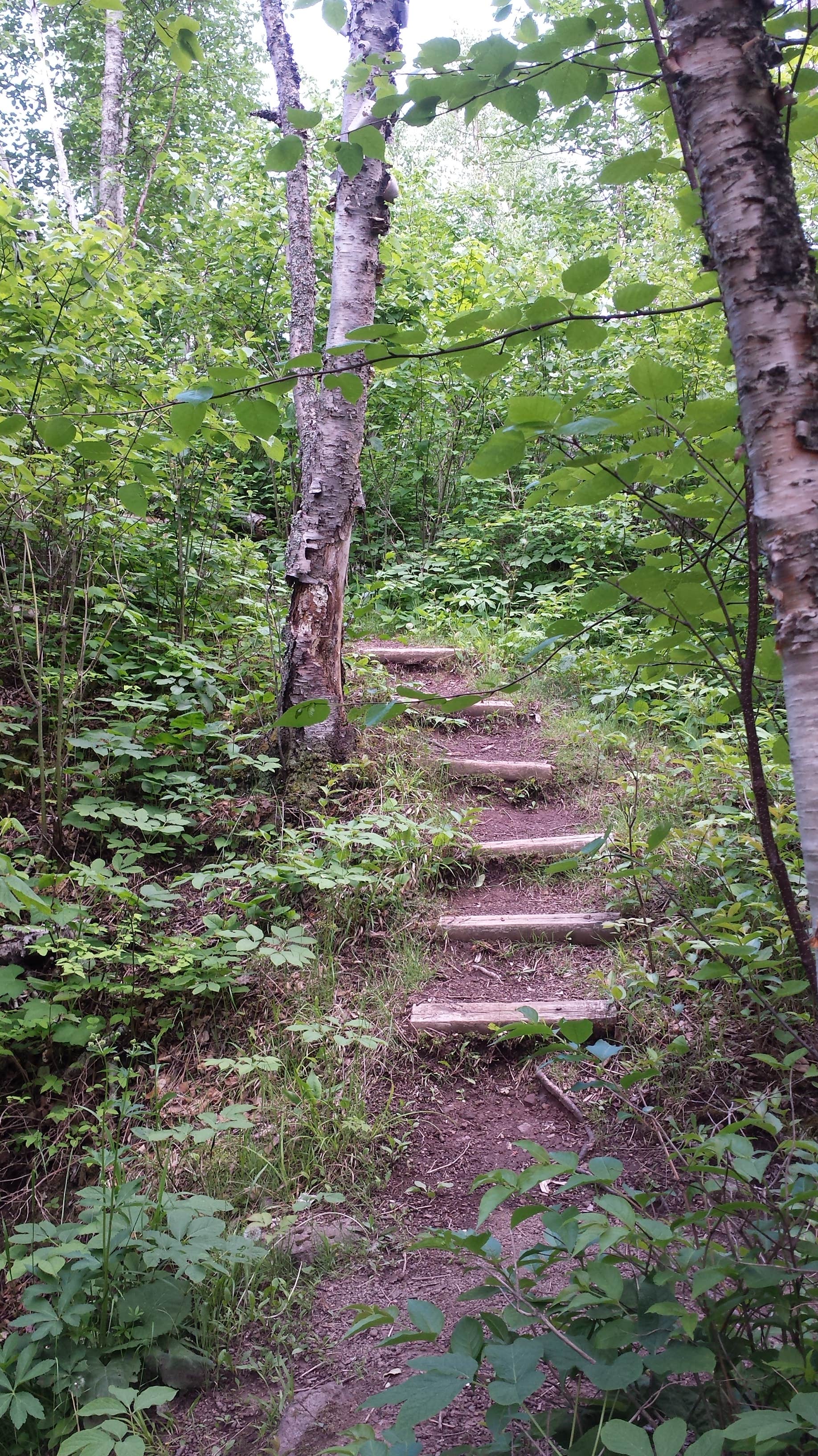 Camper-submitted photo at Crystal Creek Camp near Tofte, MN