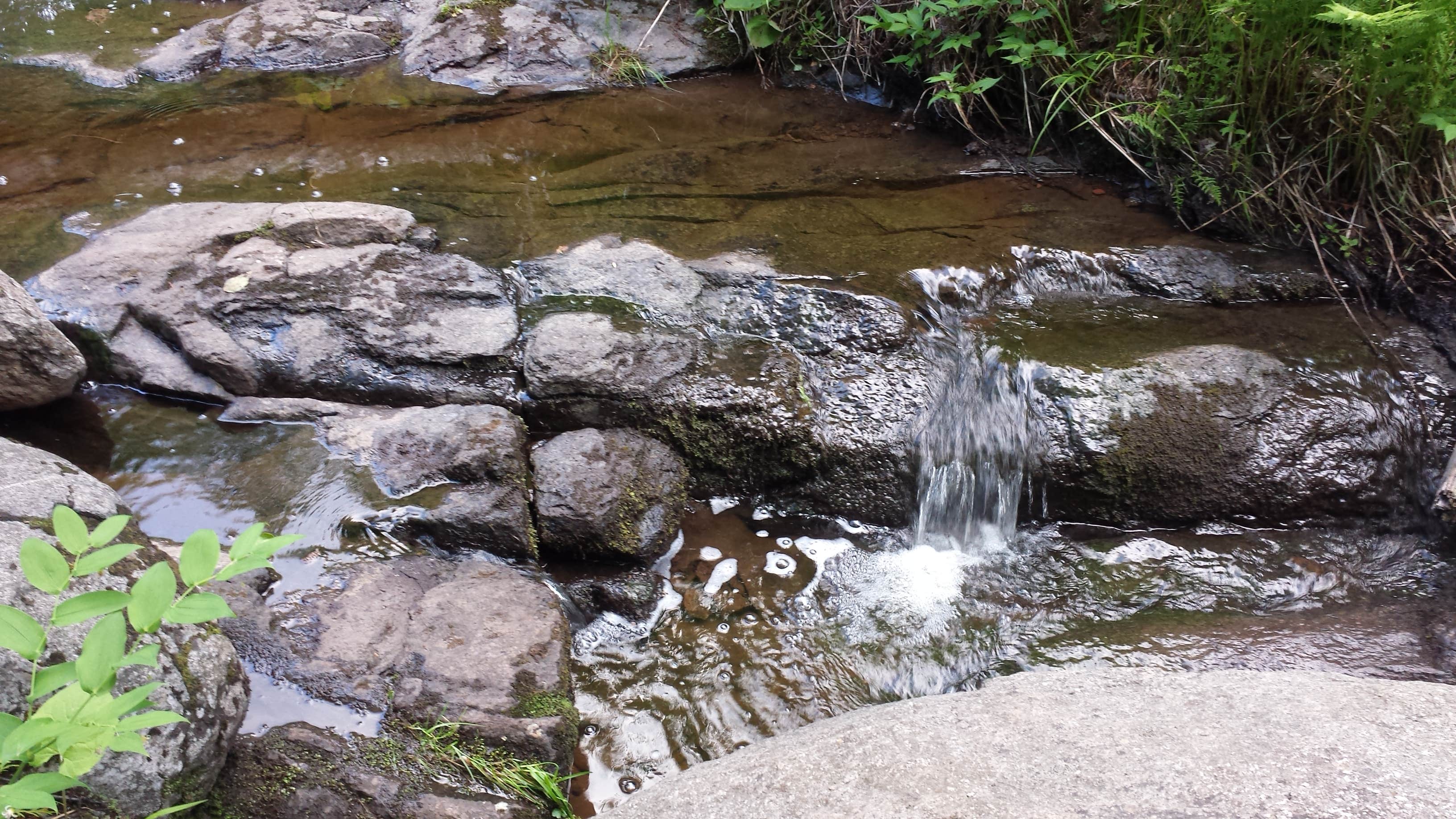Camper submitted image from Crystal Creek Camp - 5