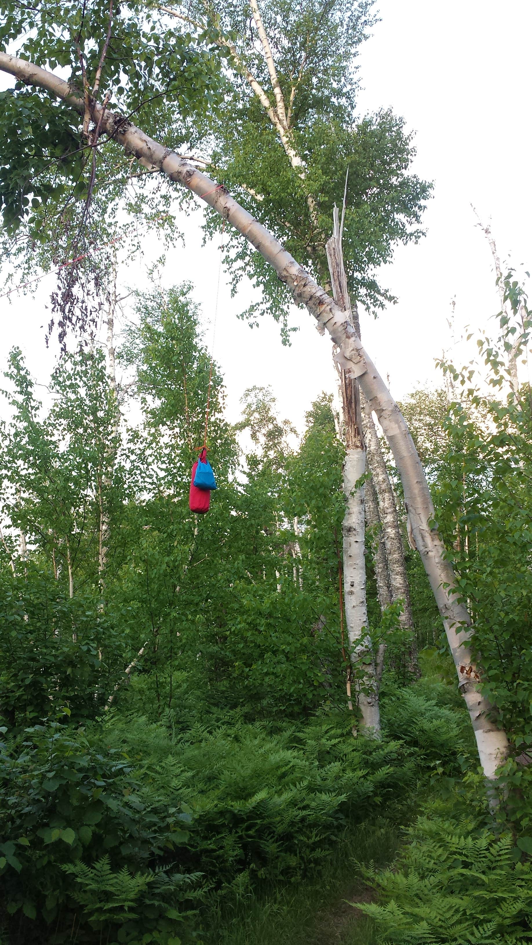 Camper-submitted photo at Crystal Creek Camp near Tofte, MN