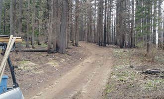Camping near Musselshell Meadows: Pete Forks Campground, Nez Perce-Clearwater National Forests, Idaho