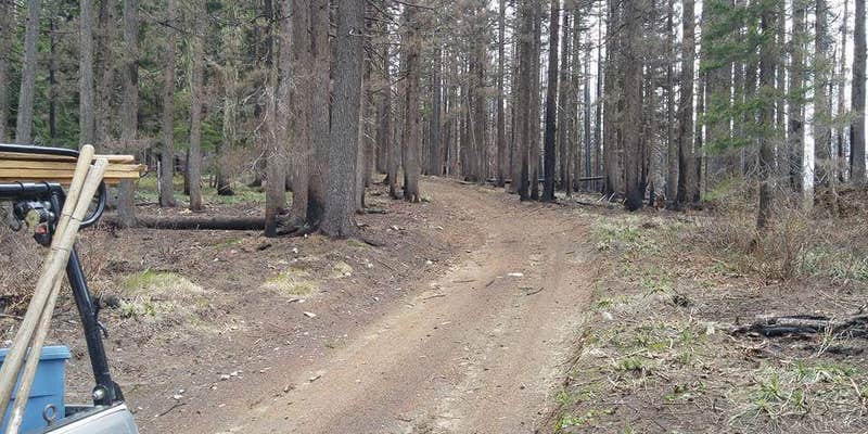 Camper submitted image from Pete Forks Campground