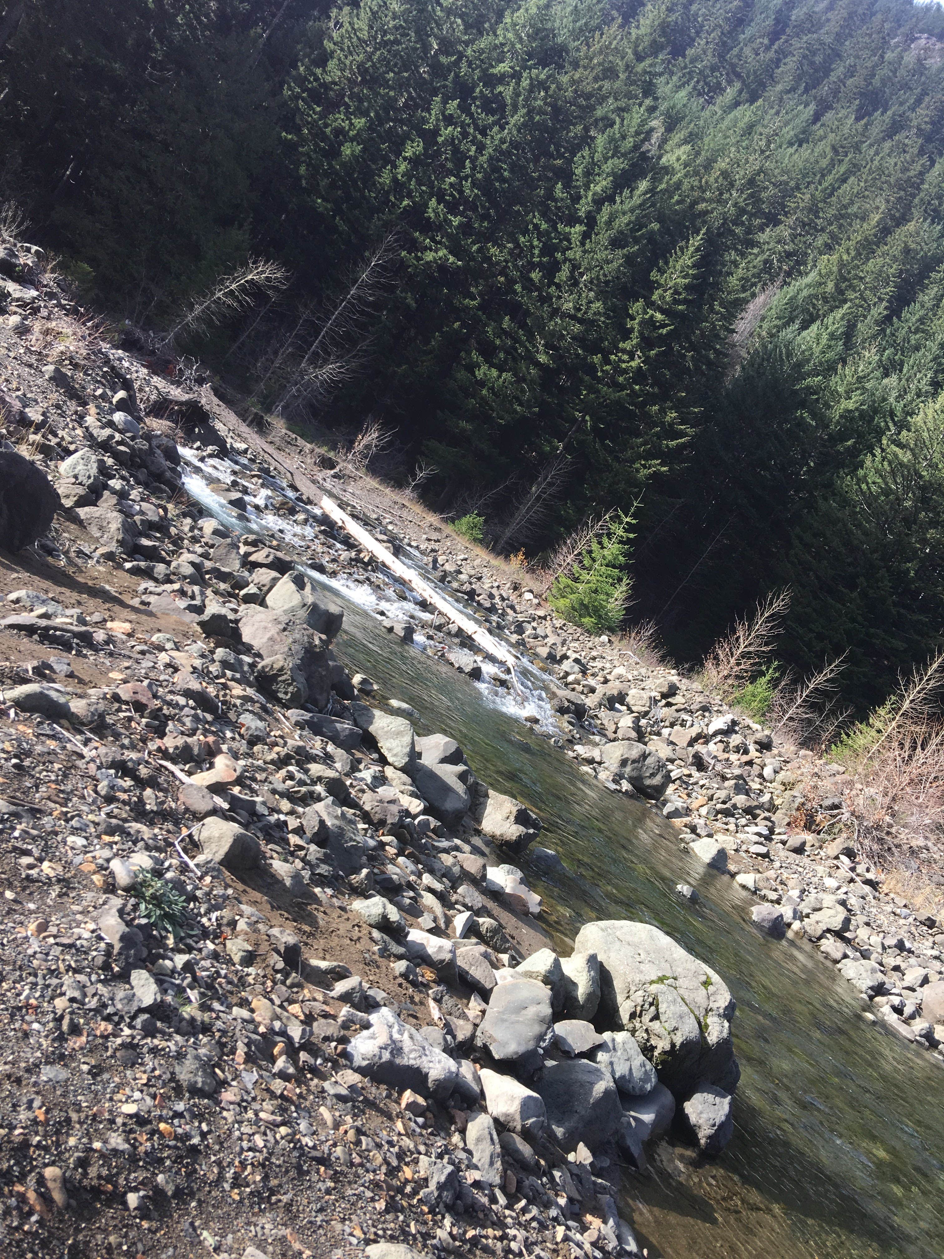 Nature