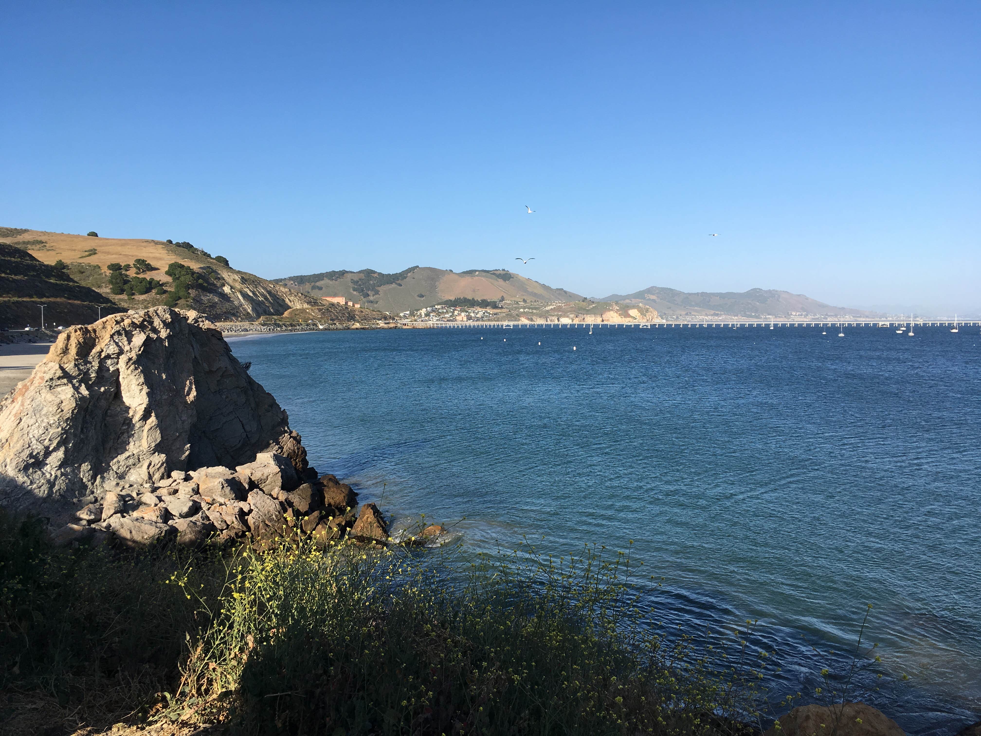 Camper submitted image from Port San Luis RV Campground - 2