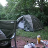 Review photo of Sleepy Creek Wildlife Management Area by Sue J., June 27, 2018