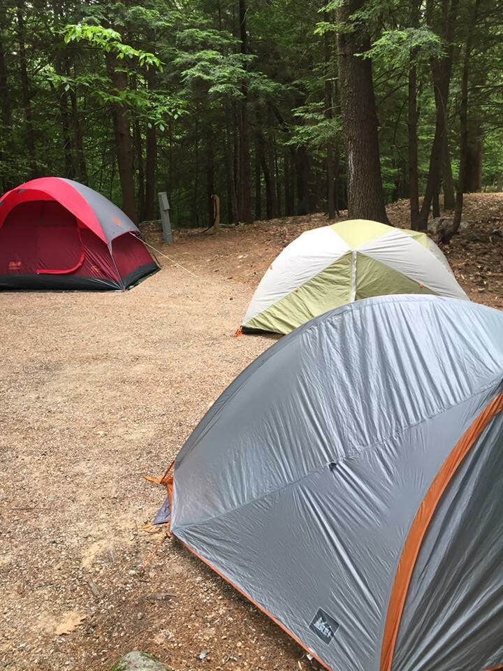 Camper submitted image from Harbor Hill Camping Area - 3