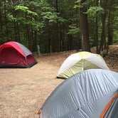 Review photo of Harbor Hill Camping Area by Sarah W., June 27, 2018