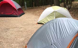 Sarah W.'s photo at Harbor Hill Camping Area near Sanbornton, NH