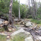 Review photo of Wheeler Gorge Campground by Garrett M., May 26, 2015