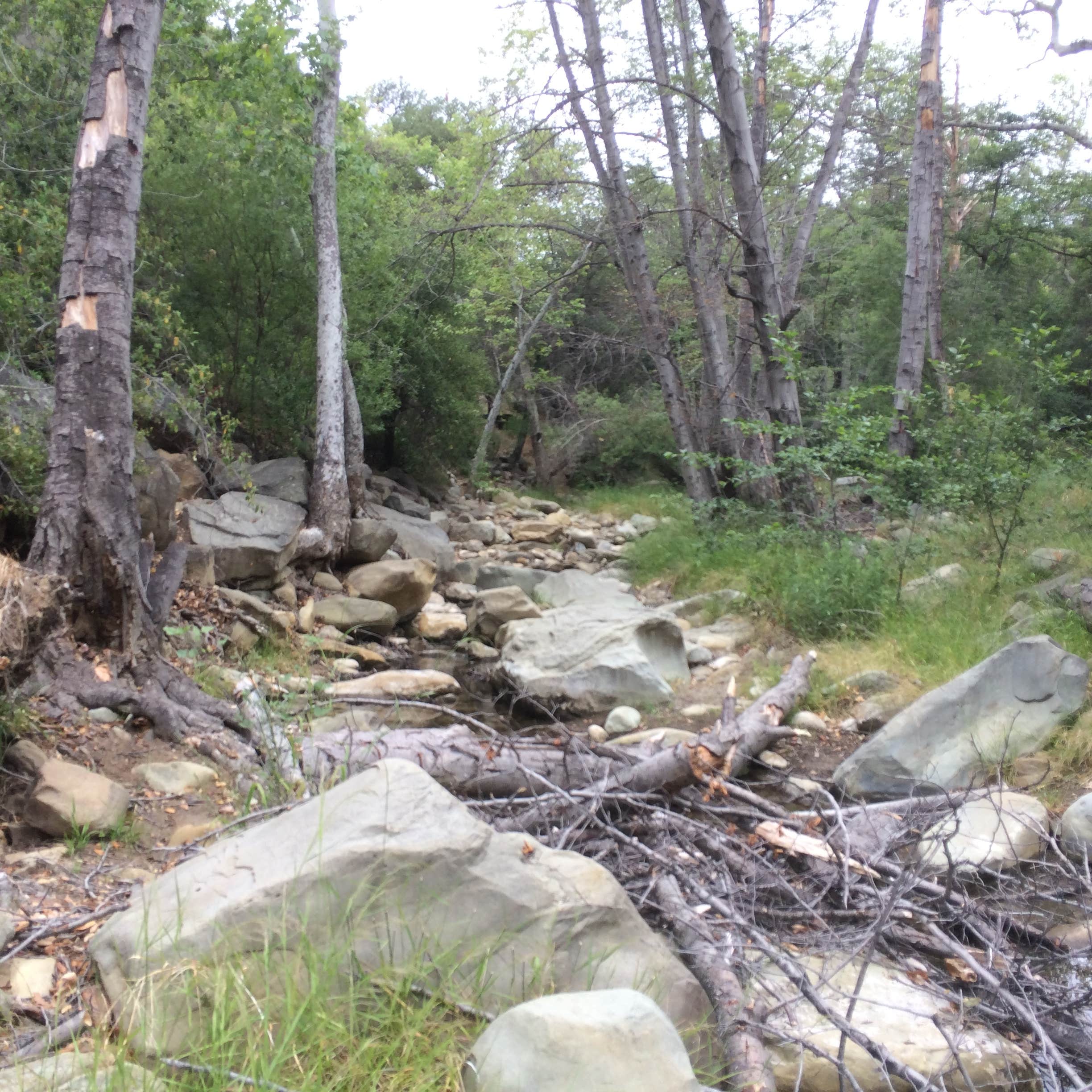 Wheeler Gorge Camping  The Dyrt