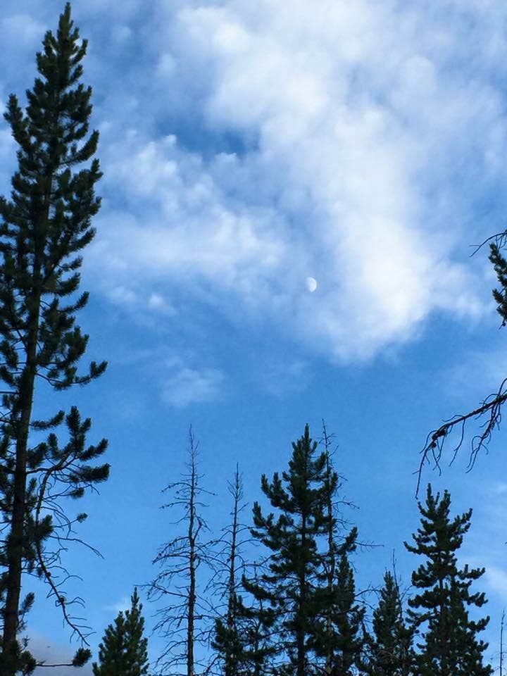 Camper-submitted photo at Basin Campground near Red Lodge, MT