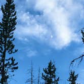 Review photo of Basin Campground by Carla S., July 20, 2016