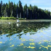 Review photo of Rainbow Bay at Lake of the Woods by Charity A., June 27, 2018