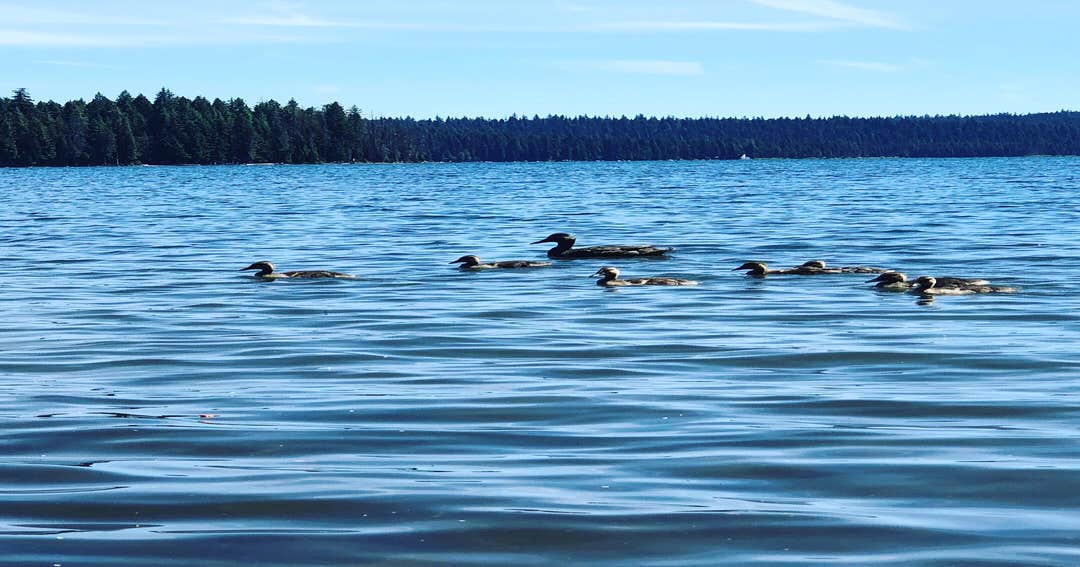 Rainbow Bay at Lake of the Woods