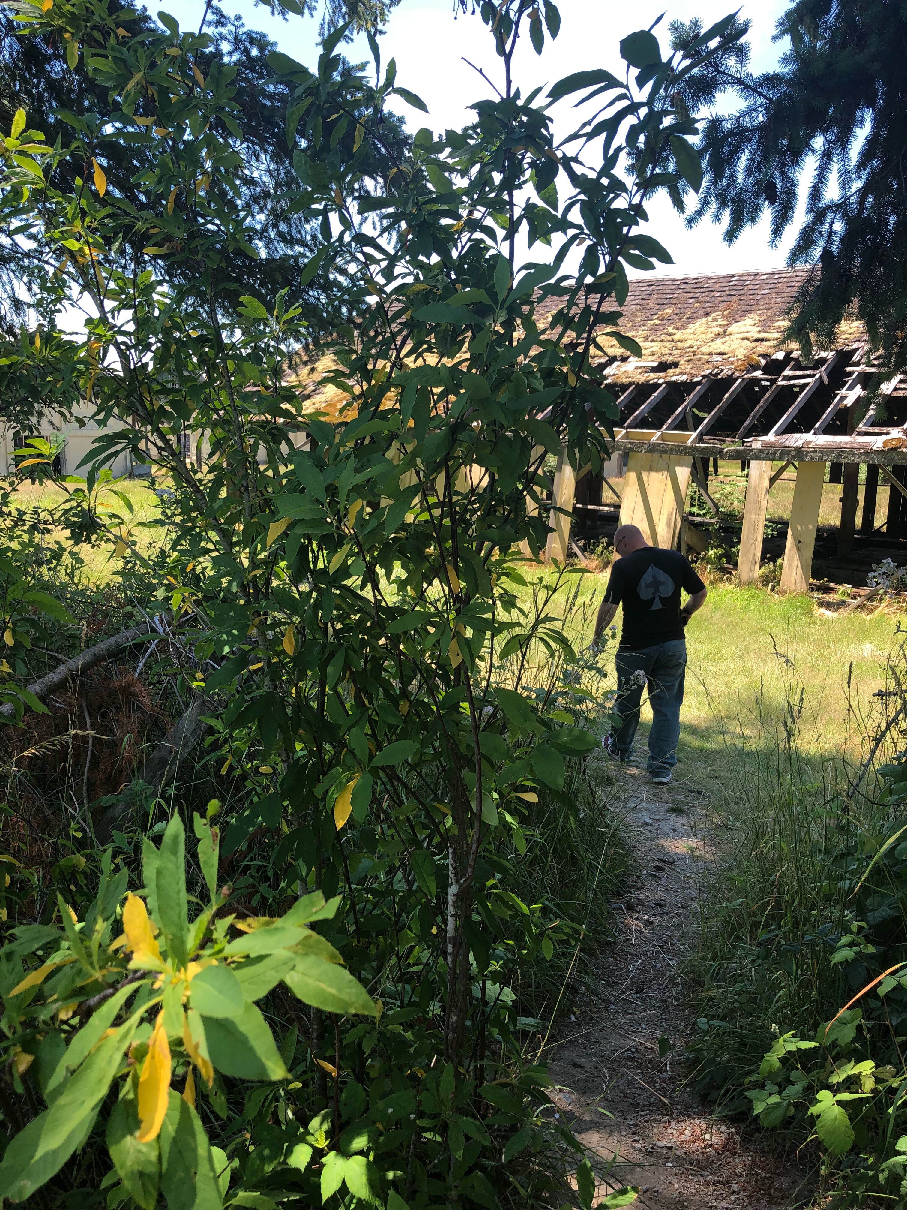 Camper-submitted photo at Riverfront RV Park near Acme, WA