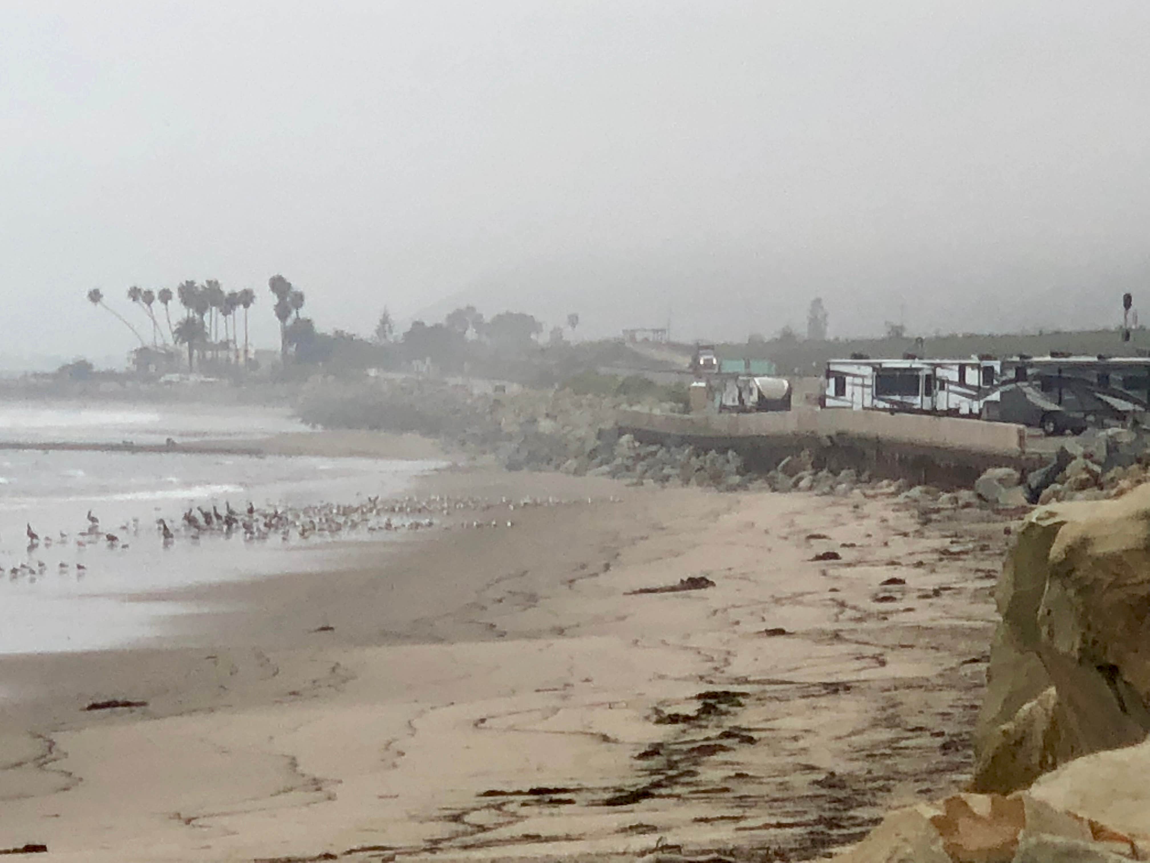 Camper submitted image from Rincon Parkway RV Overnight - 3