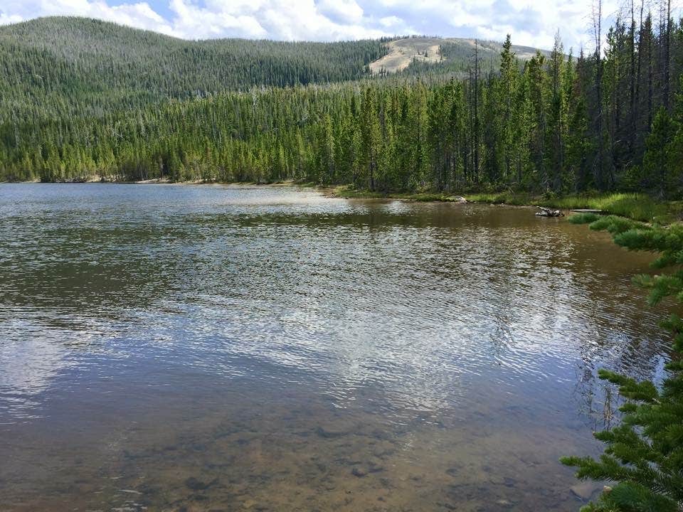 Camper-submitted photo at Basin Campground near Red Lodge, MT