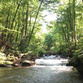 Review photo of Curtis Creek Campground by Stacy J., June 27, 2018