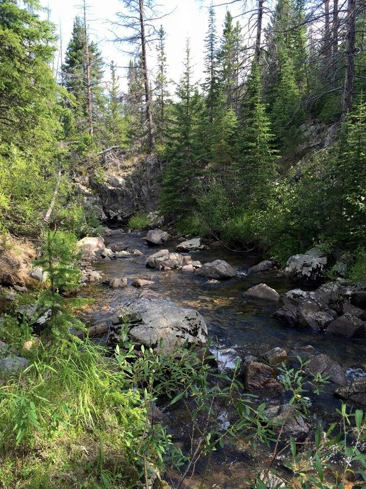 Camping near Custer National Forest Rattin Campground: Basin Campground, Red Lodge, Montana