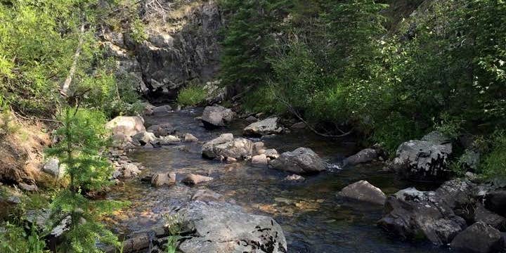 Camper submitted image from Basin Campground