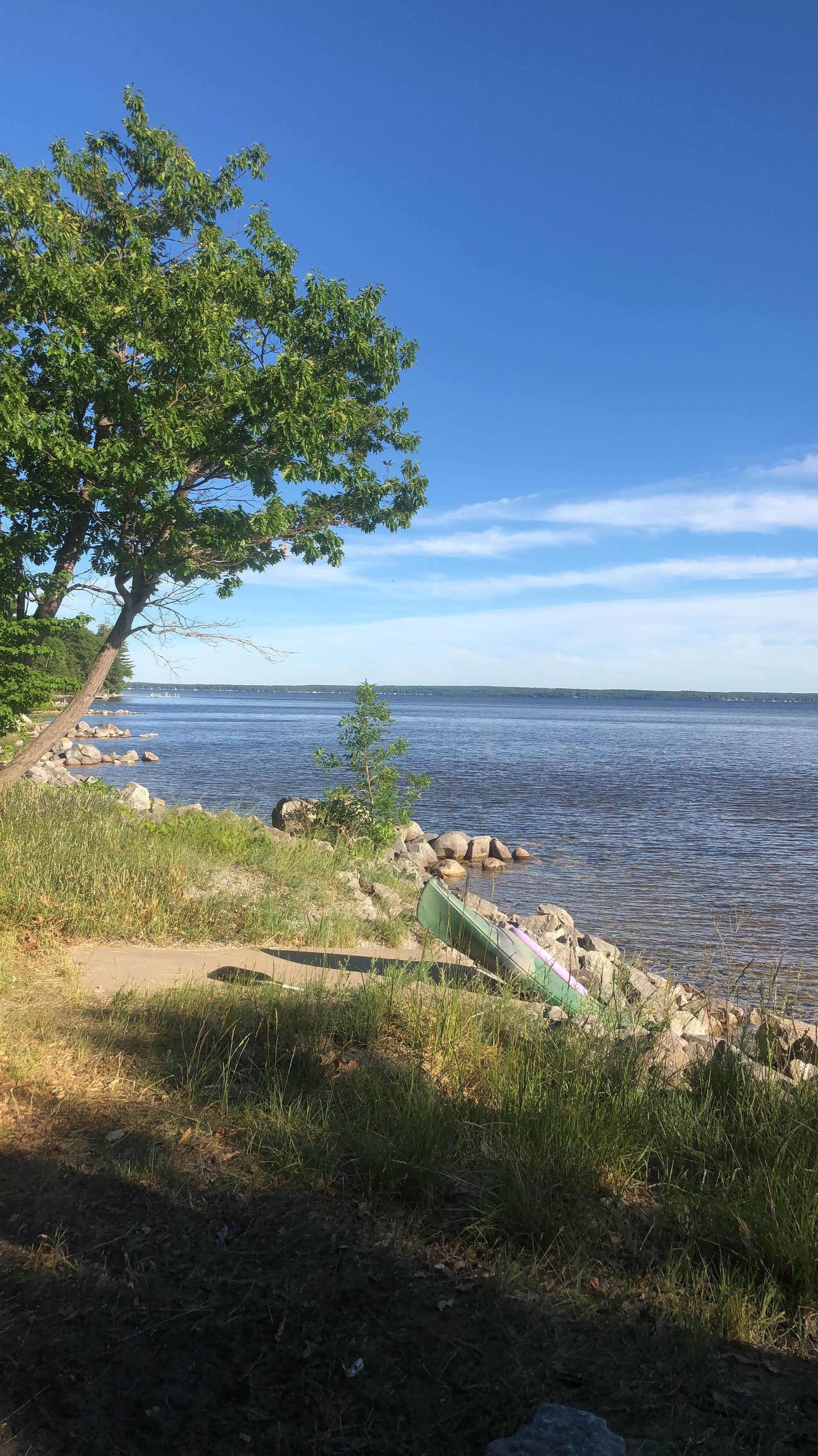 Black Lake State Forest Upper ORV Campground Camping The Dyrt