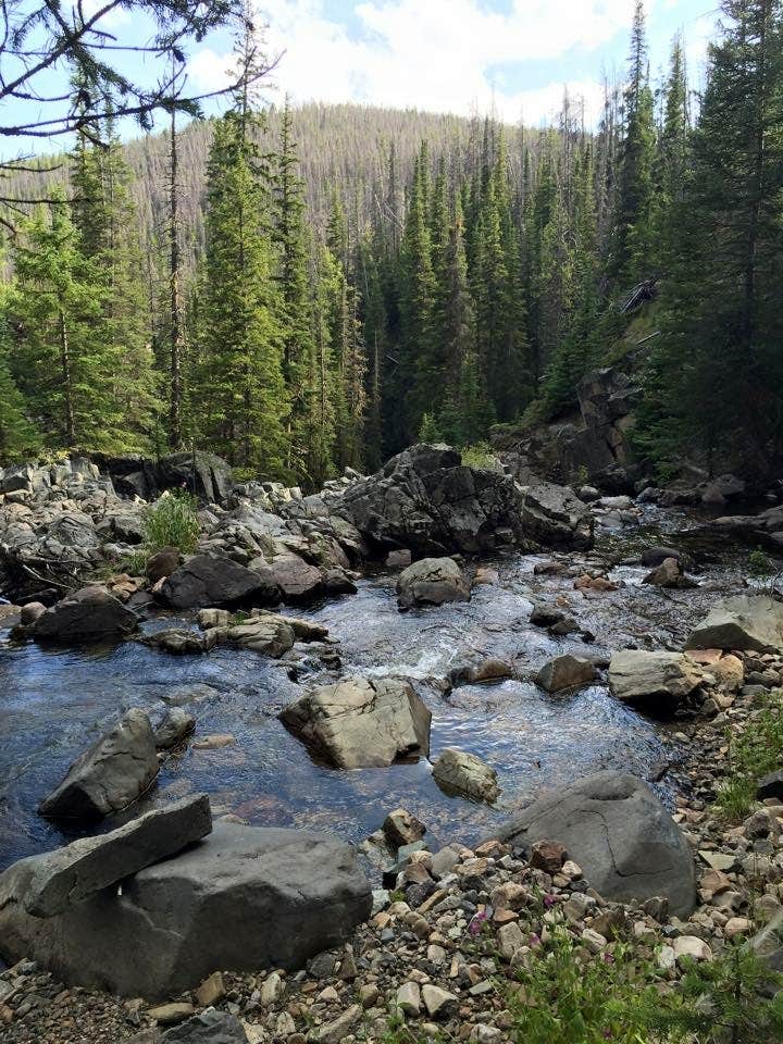 Camper-submitted photo at Basin Campground near Red Lodge, MT