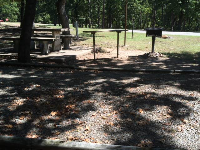 Camper-submitted photo at Pat Mayse Sanders Cove Recreations area near Arthur City, TX