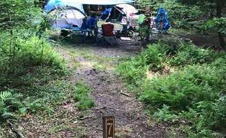 Michelle E.'s photo at Chapman State Park Campground near Allegheny National Forest