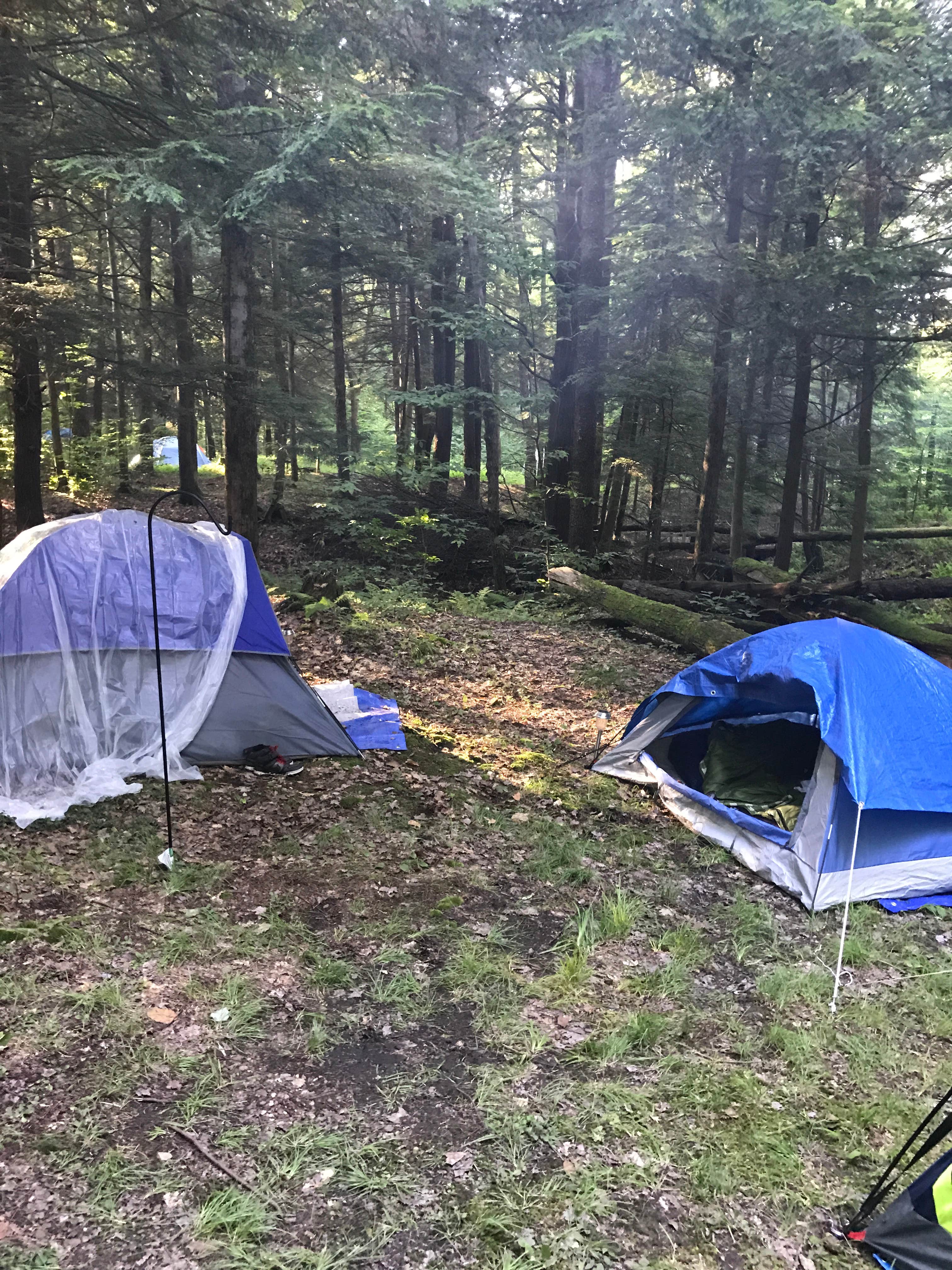 Camper-submitted photo at Chapman State Park Campground near Marienville, PA