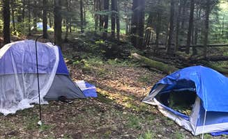 Michelle E.'s photo at Chapman State Park Campground near Corry, PA