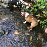 Review photo of Uinta National Forest Balsam Campground by Duane B., June 27, 2018