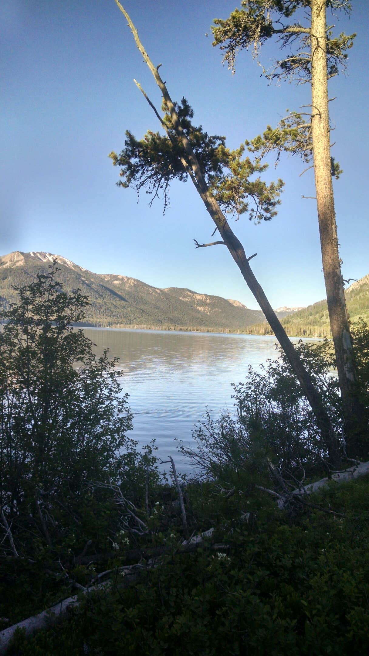 Camper-submitted photo at North Shore Campground (Alturas) near Sawtooth National Forest