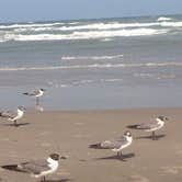 Review photo of Malaquite Campground — Padre Island National Seashore by Ruth  P., June 27, 2018