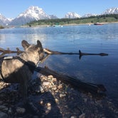 Review photo of Signal Mountain Campground — Grand Teton National Park by Hannah M., June 27, 2018