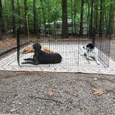 Review photo of Poplar Point Campground — Jordan Lake State Recreation Area by Tina L., June 27, 2018