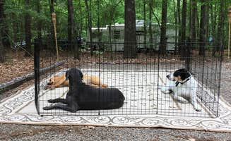 Tina L.'s photo of camping with pets at Poplar Point Campground — Jordan Lake State Recreation Area near Graham, NC