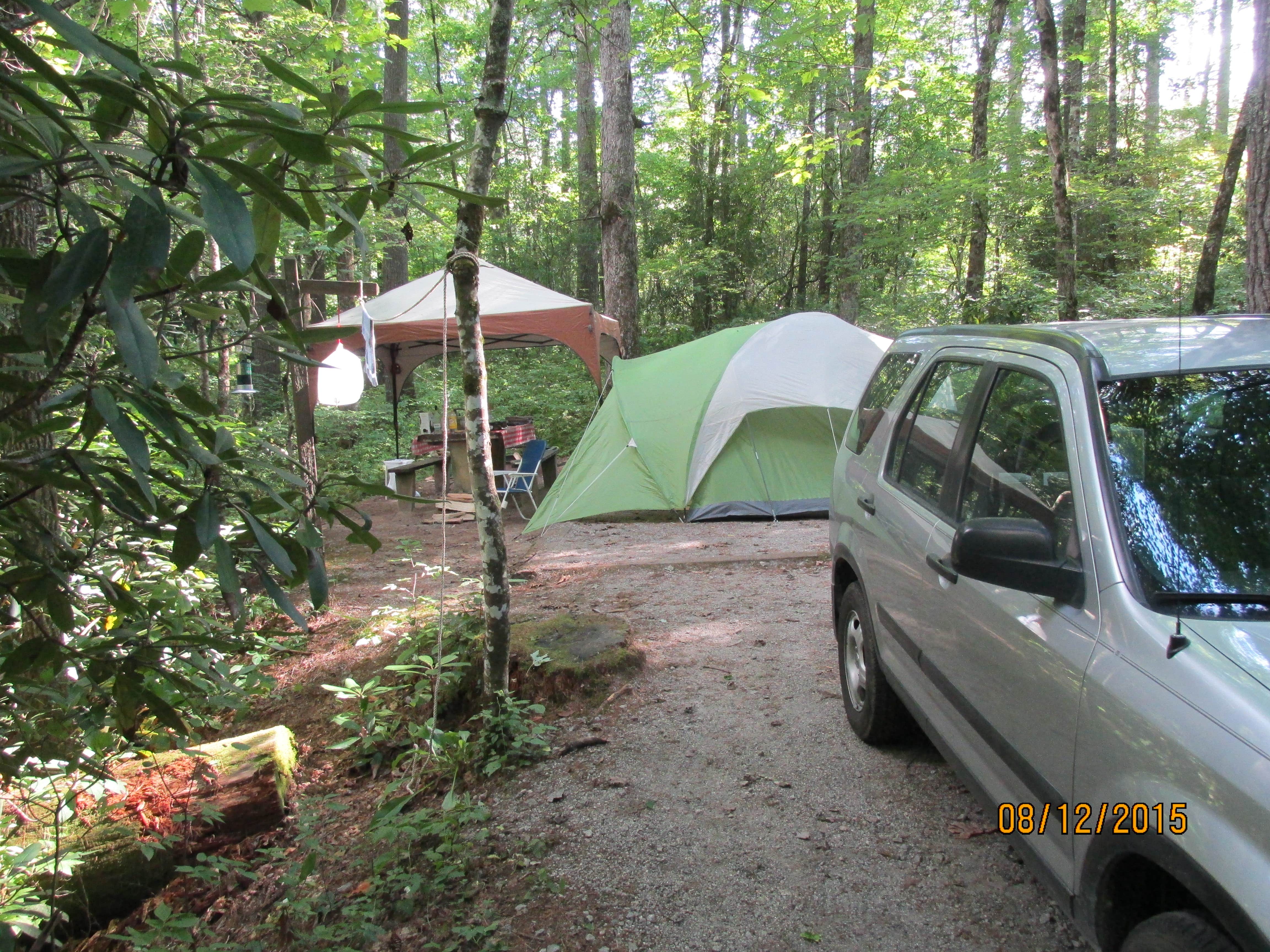 Camper submitted image from Van Hook Glade - 2