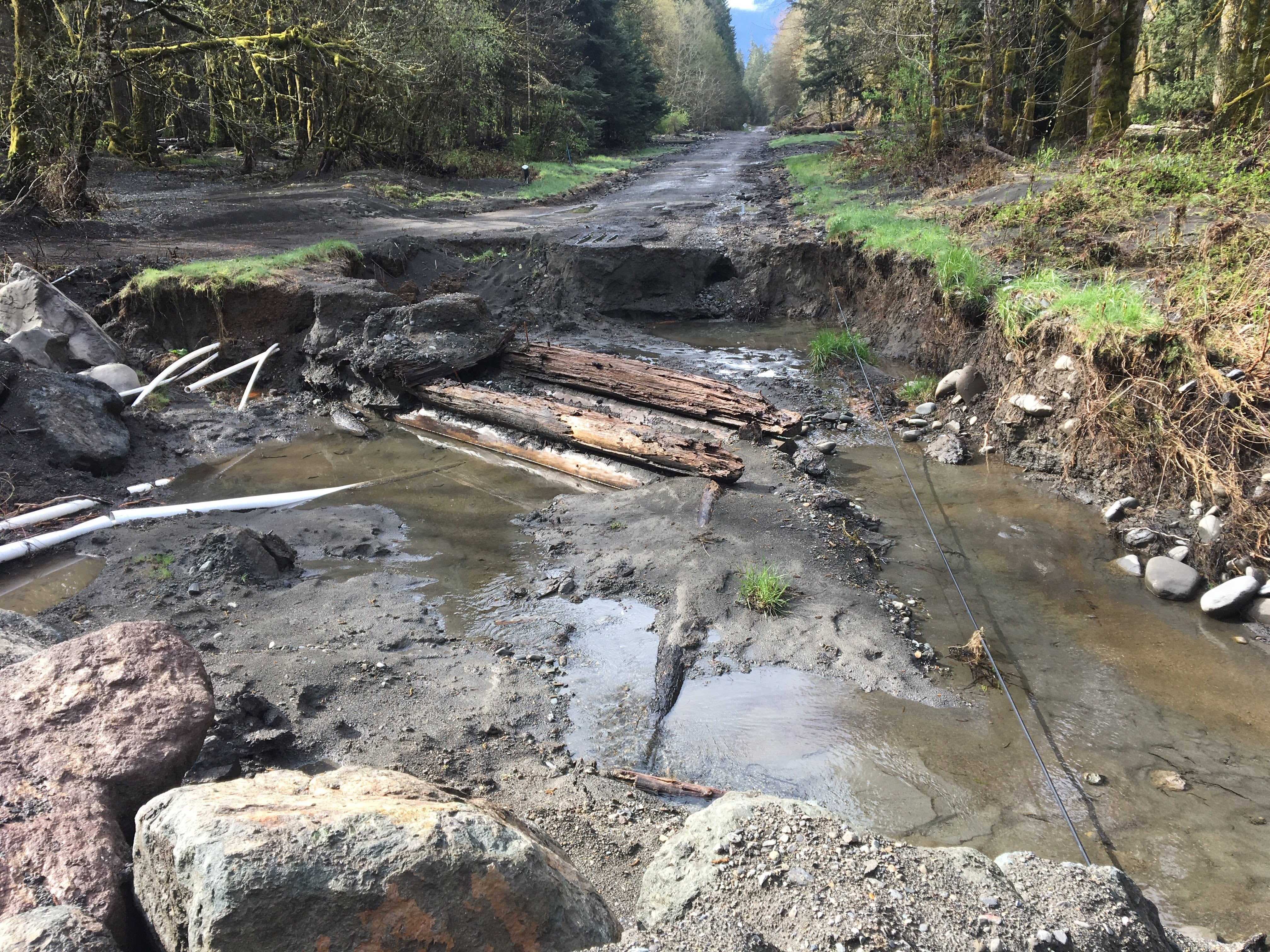 Camper submitted image from Elwha Campground - CLOSED — Olympic National Park - 3