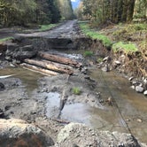 Review photo of Elwha Campground - CLOSED — Olympic National Park by Dani H., June 27, 2018