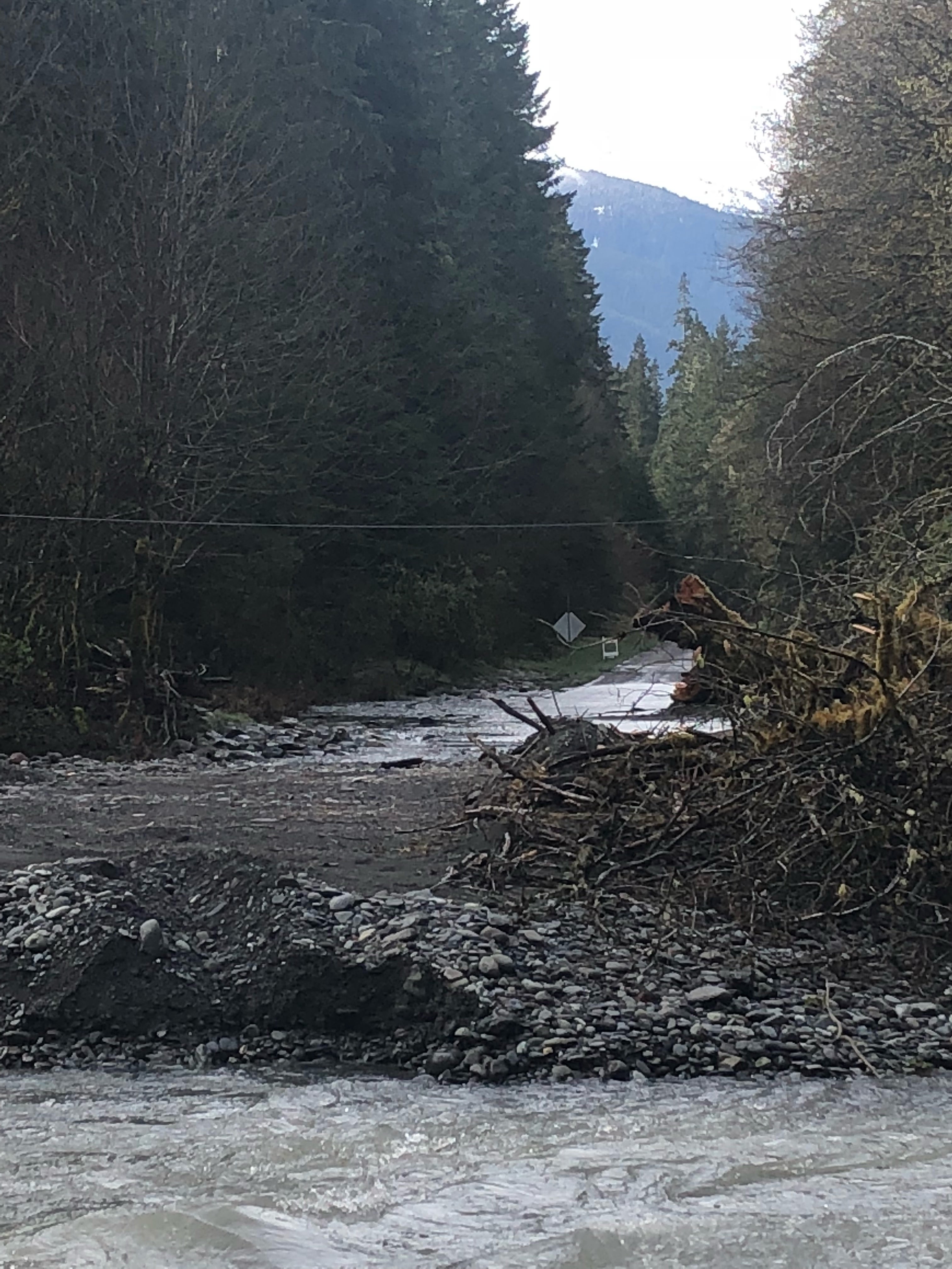 Camper submitted image from Elwha Campground - CLOSED — Olympic National Park - 2