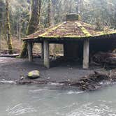 Review photo of Elwha Campground - CLOSED — Olympic National Park by Dani H., June 27, 2018