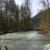 Review photo of Elwha Campground - CLOSED — Olympic National Park by Dani H., June 27, 2018