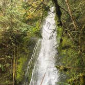 Review photo of Elwha Campground - CLOSED — Olympic National Park by Dani H., June 27, 2018