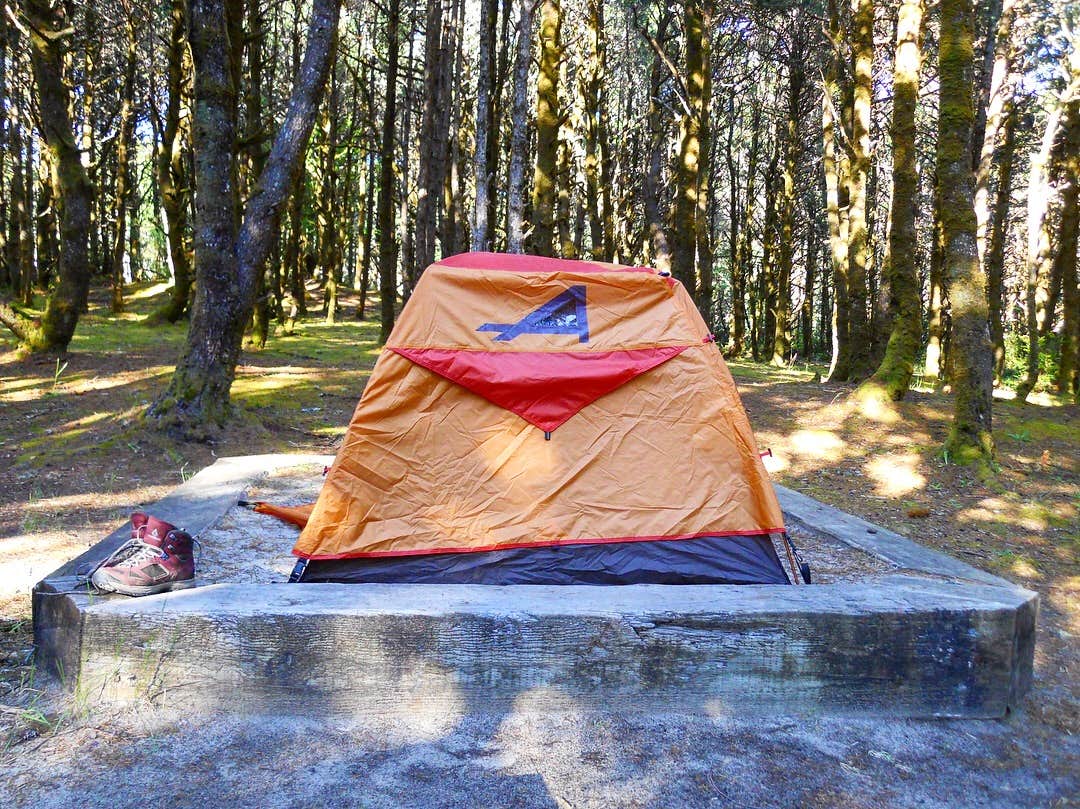 Rachel D.'s photo at Nehalem Bay State Park Campground near Cannon Beach, OR
