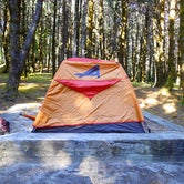 Review photo of Nehalem Bay State Park Campground by Rachel D., June 27, 2018