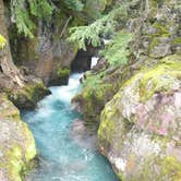 Review photo of Avalanche Campground — Glacier National Park by Carla S., July 20, 2016