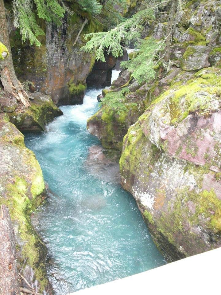 Camper submitted image from Avalanche Campground — Glacier National Park - 3