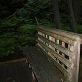 Review photo of Avalanche Campground — Glacier National Park by Carla S., July 20, 2016