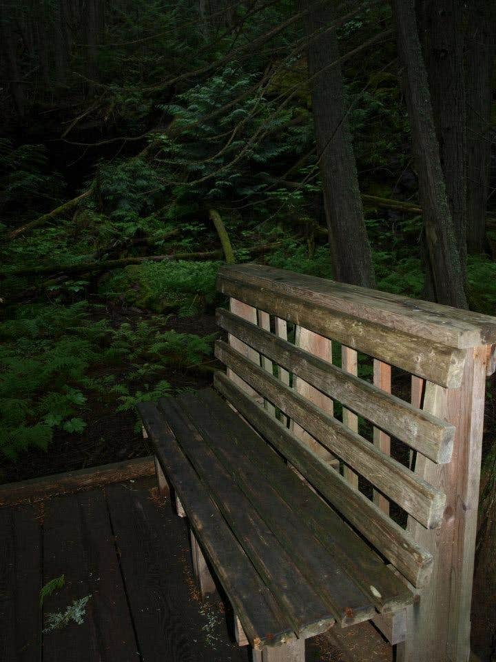 Camper submitted image from Avalanche Campground — Glacier National Park - 3